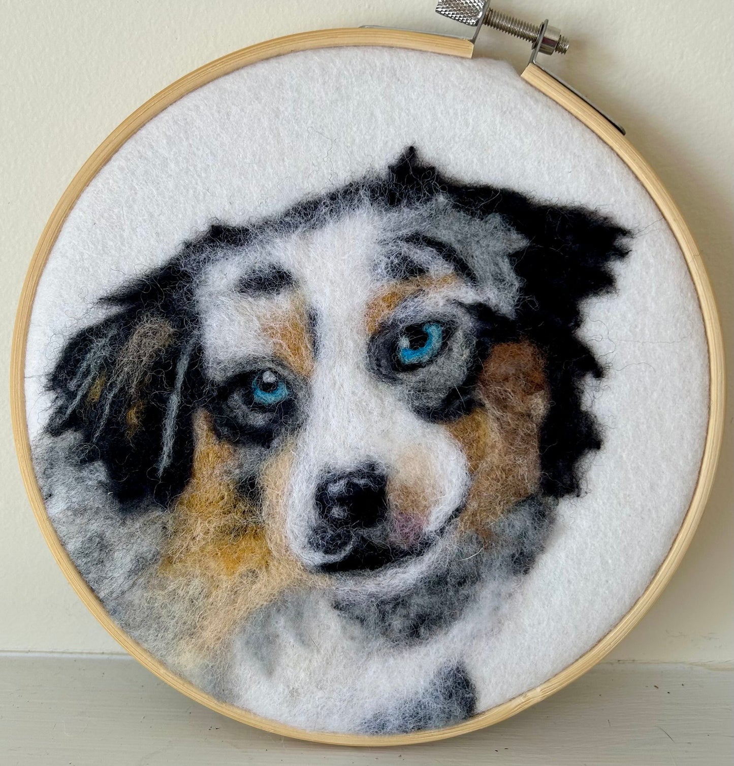 Australian Shepherd