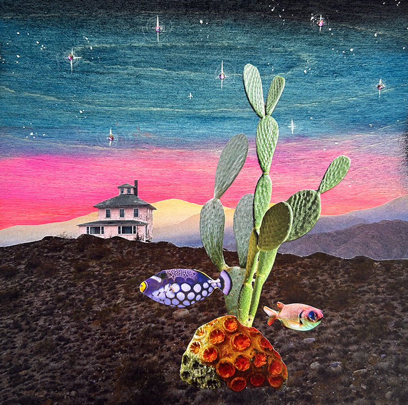 Where Desert Dreams Swim