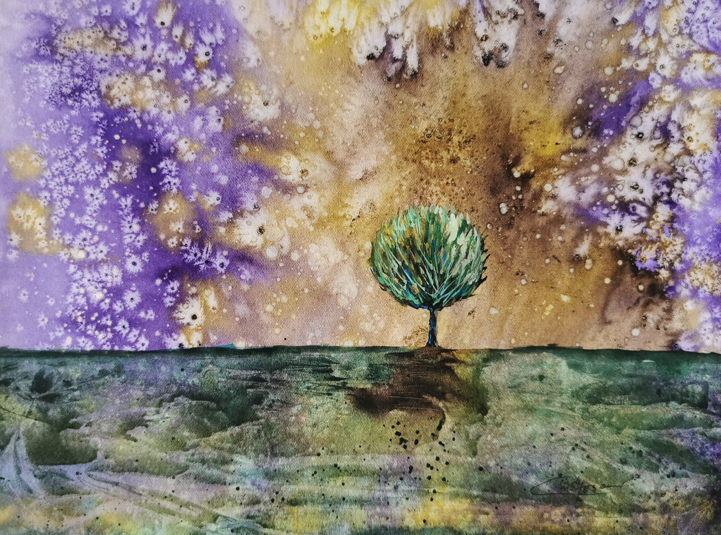 Lollipop Tree in the Stars