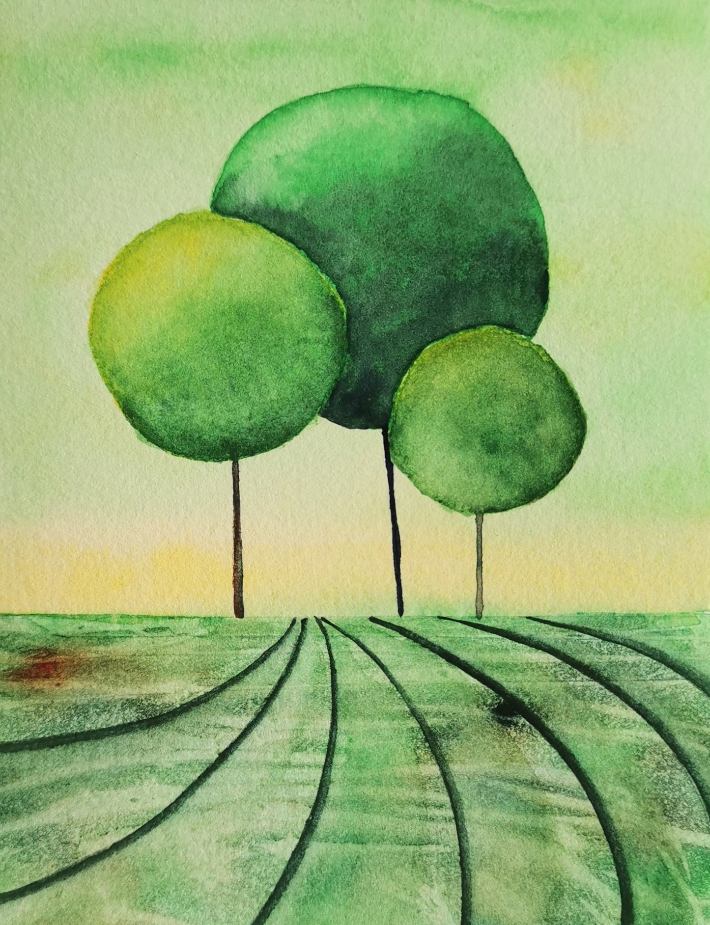 Spring Lollipop Trees