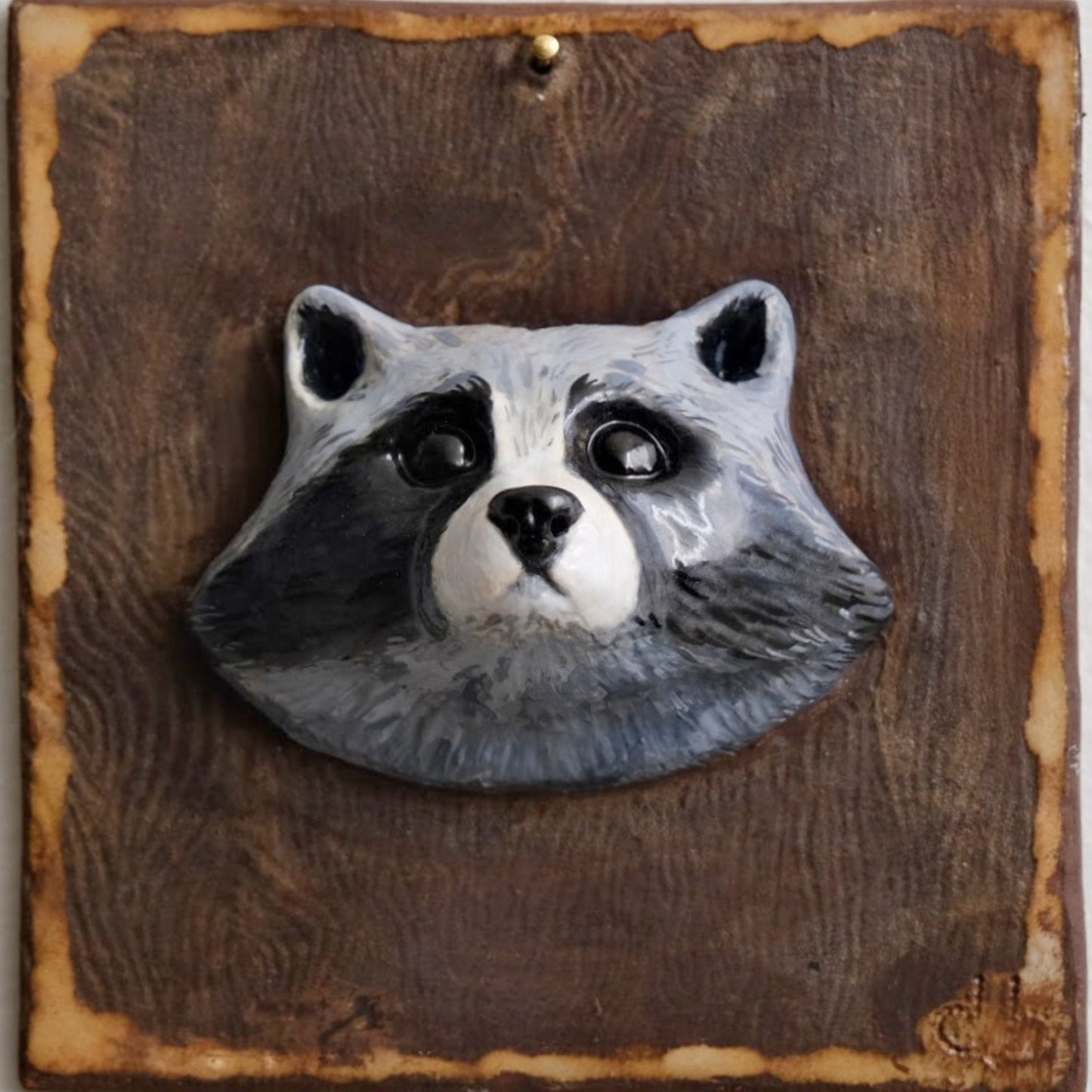 Raccoon Head