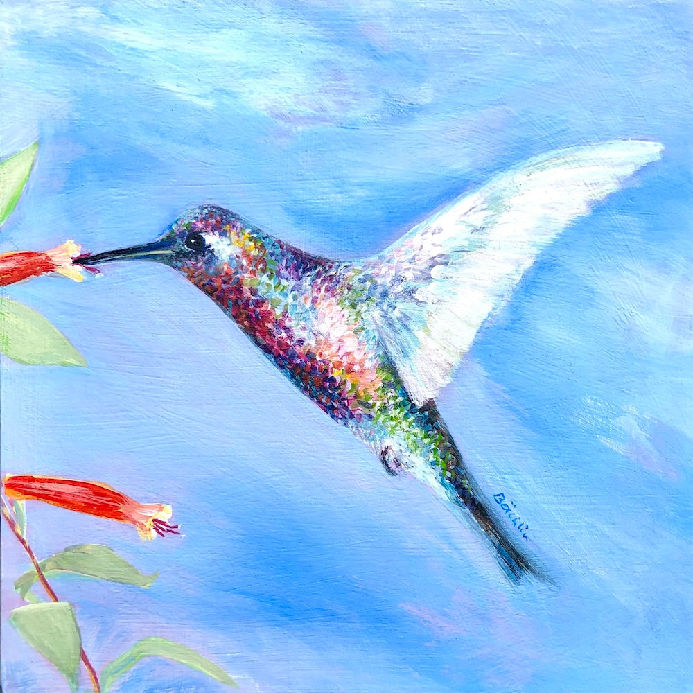 My Summer Friend Beau