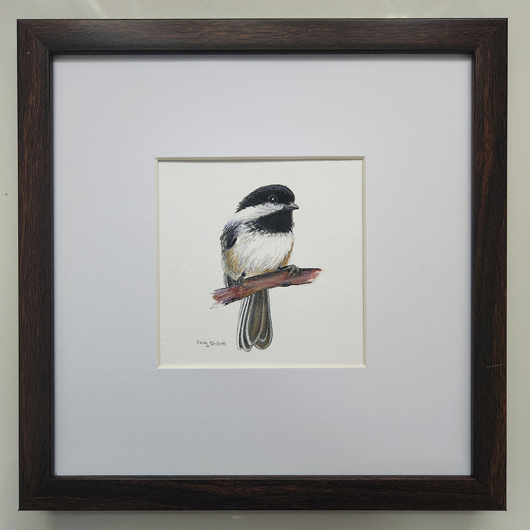 Chickadee 11