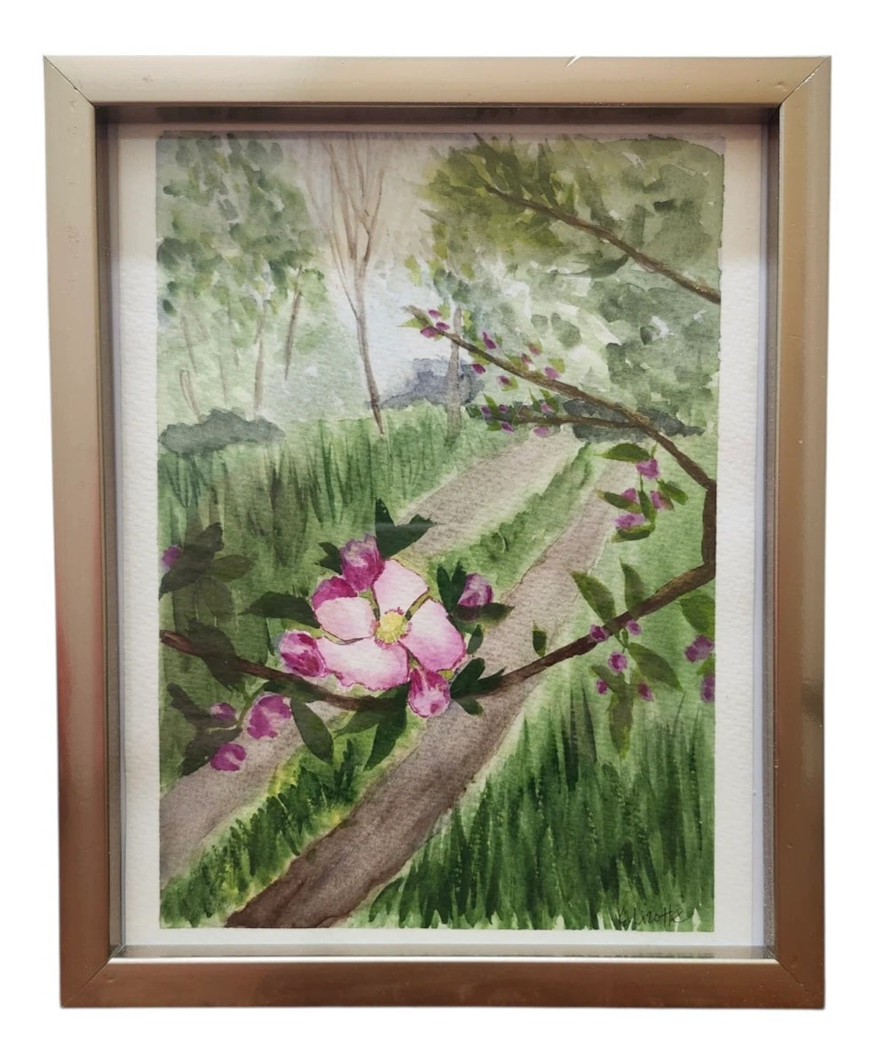 Apple Blossoms in Inverary