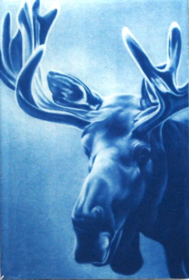 Resined Cyanotype Eye to Eye