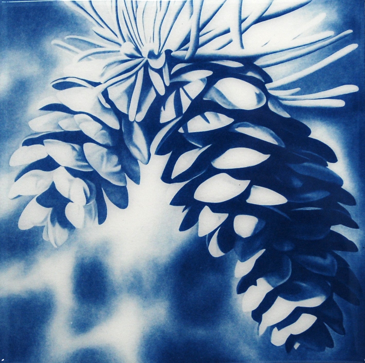 Resined Cyanotype Opportunity