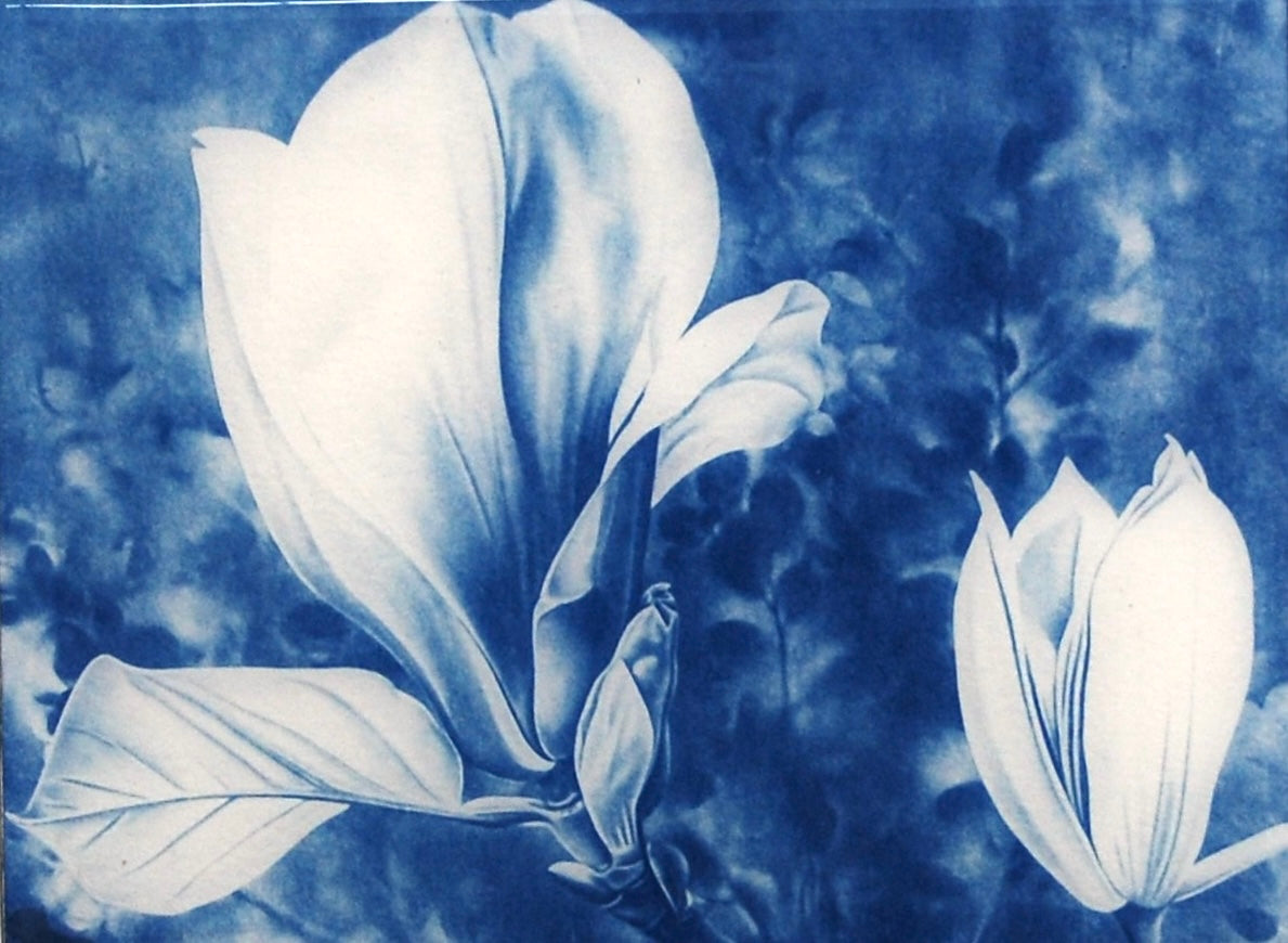 Resined Cyanotype Will You Remember Me