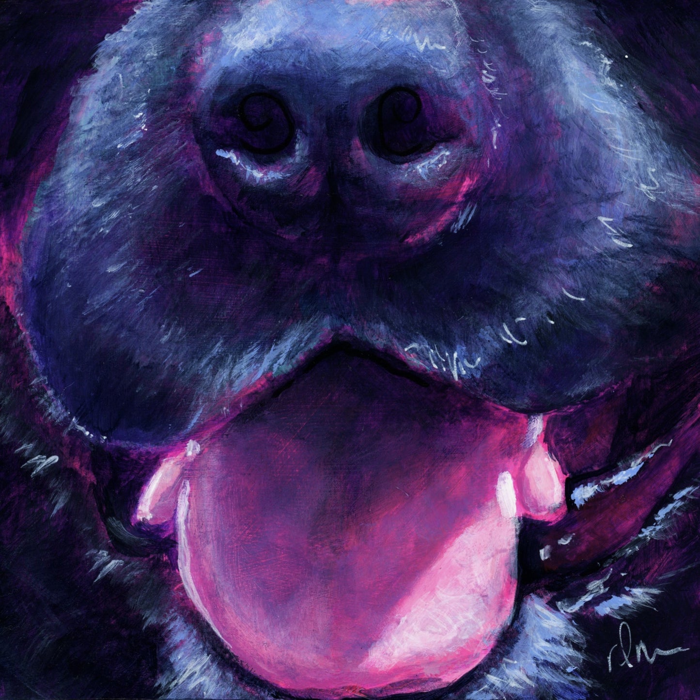 Dog Snout #14