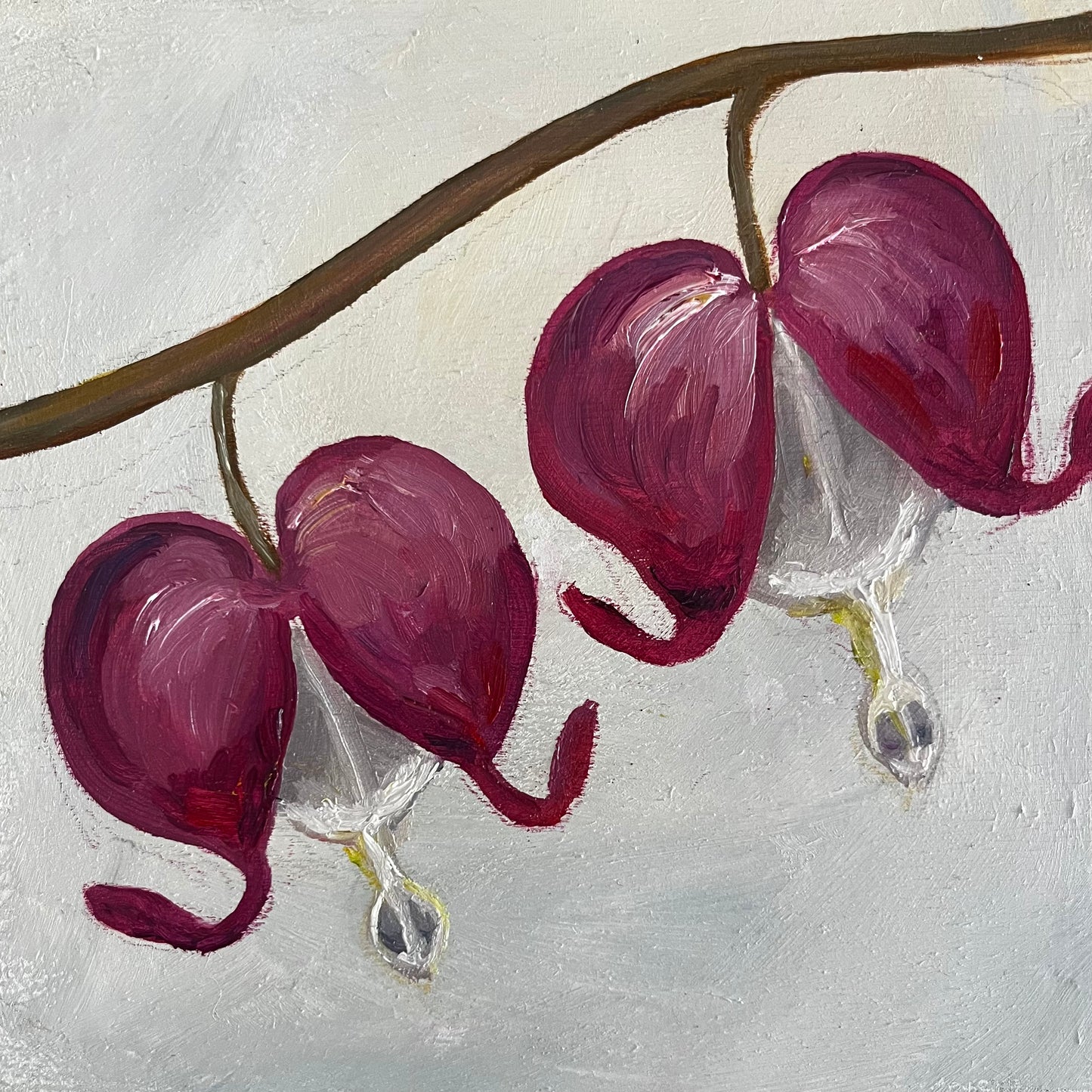 Mini Bleeding Heart II