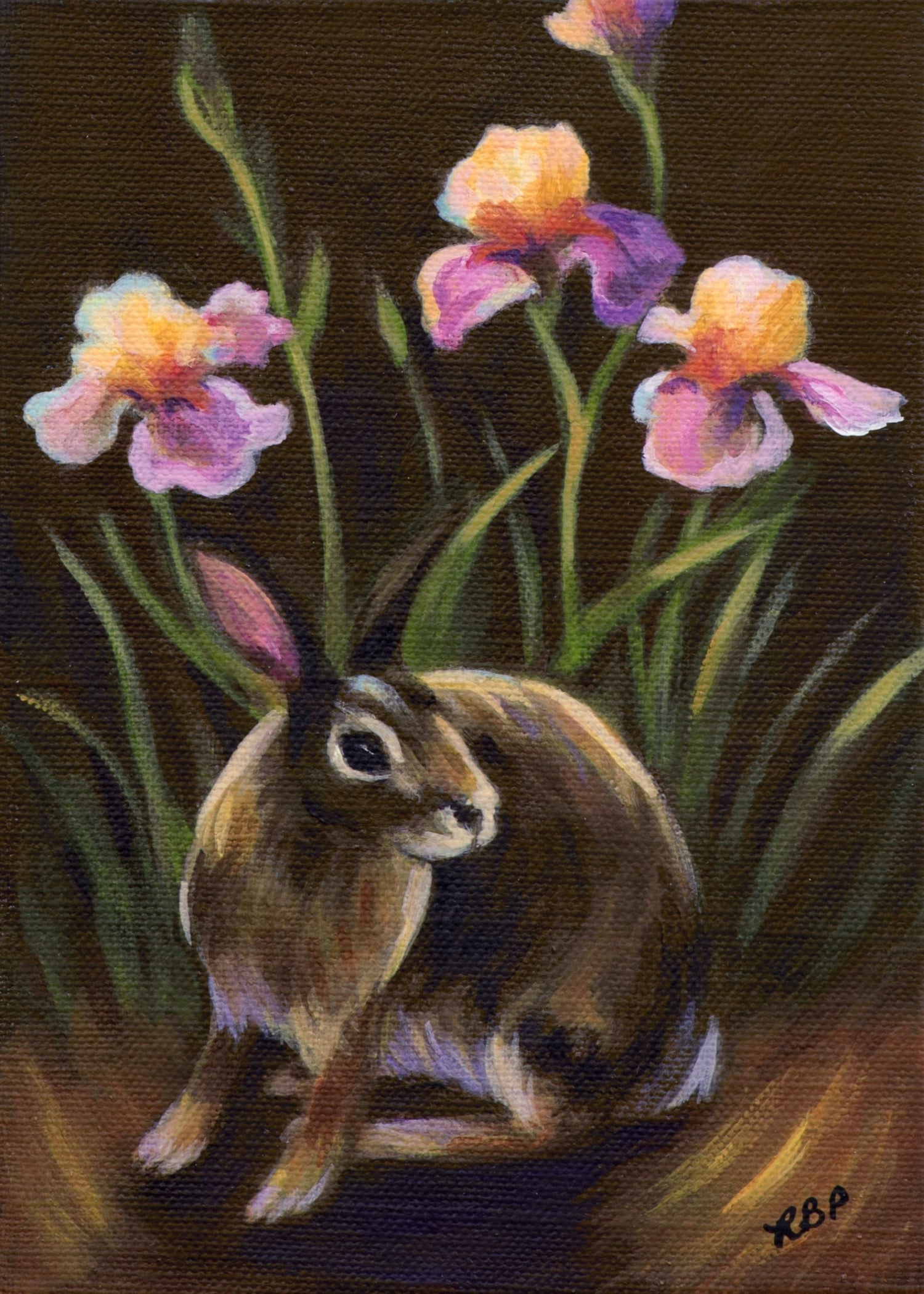 Rosalyn Baird Perkins