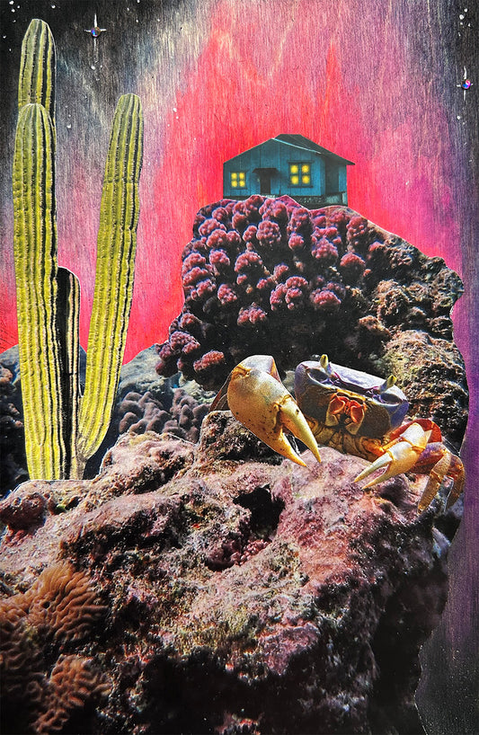 The Tide Remembers Me