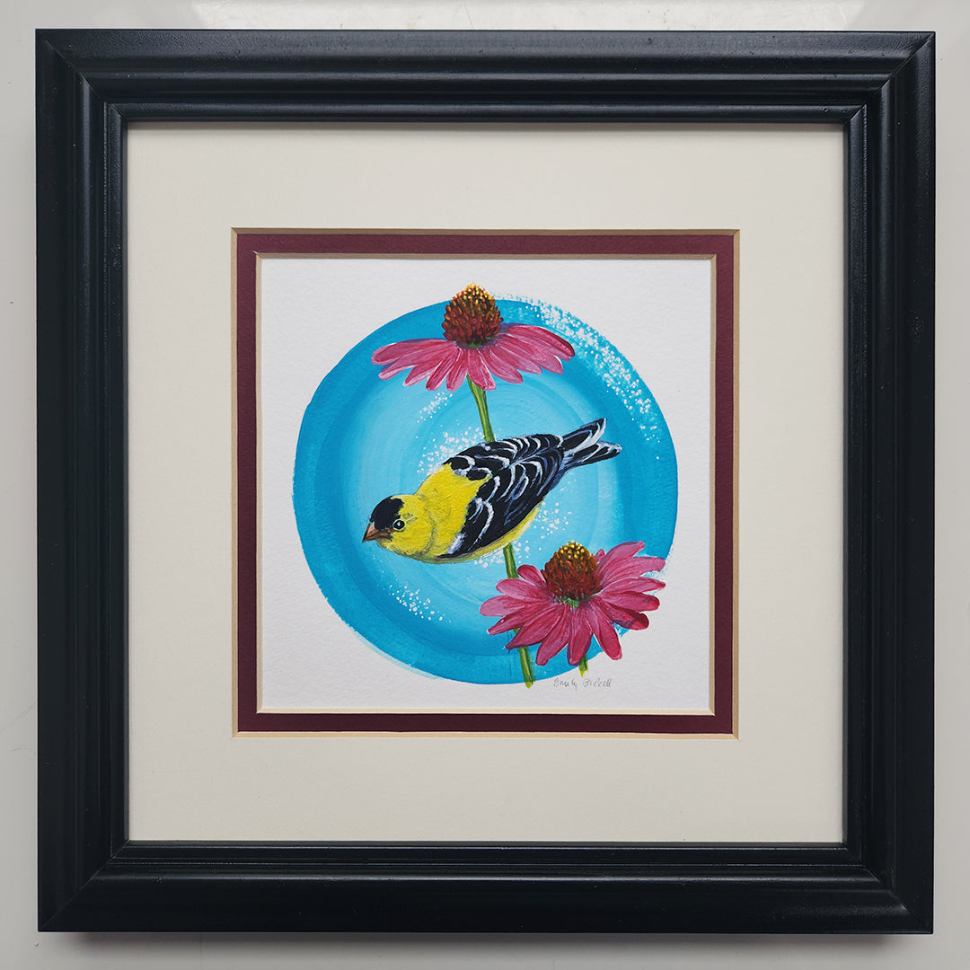 American Goldfinch in Echinacea