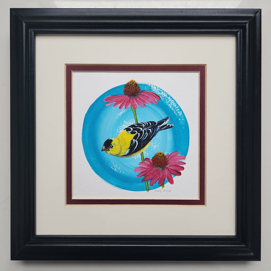 American Goldfinch in Echinacea