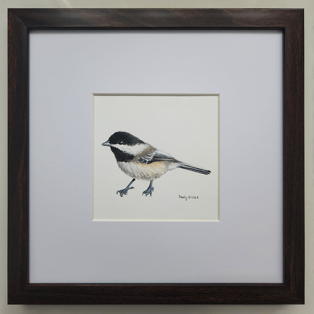 Chickadee 10