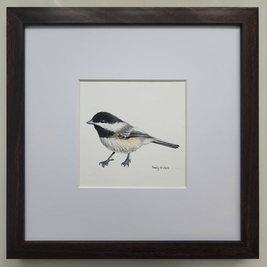 Chickadee 10