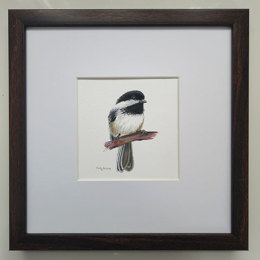 Chickadee 11