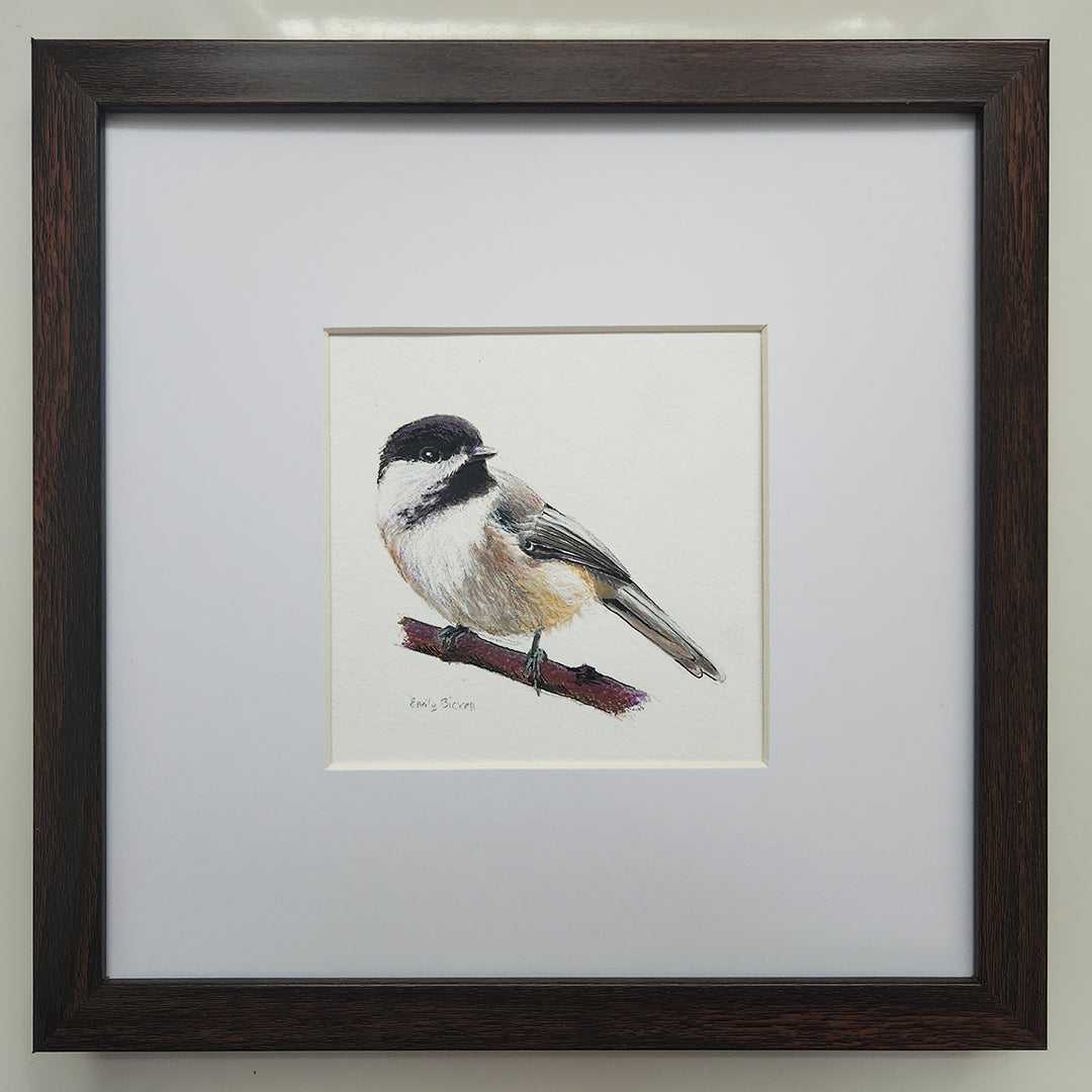 Chickadee 12