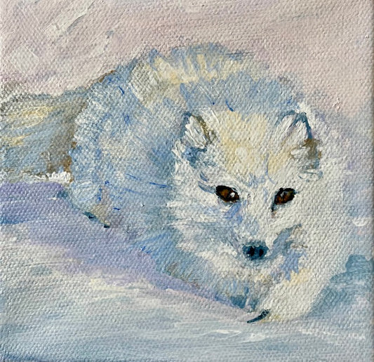Artic Fox
