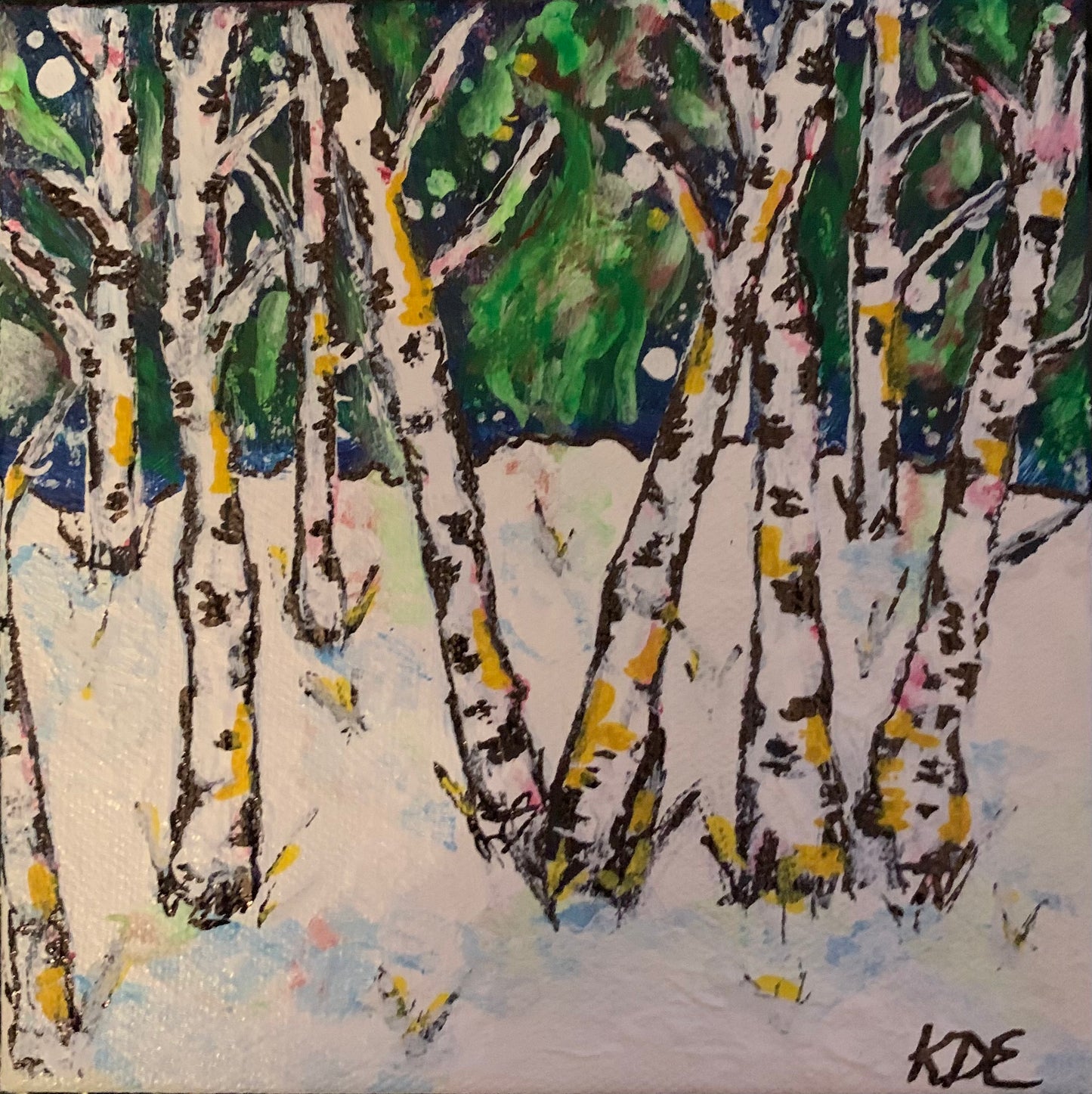 Birches under Borealis