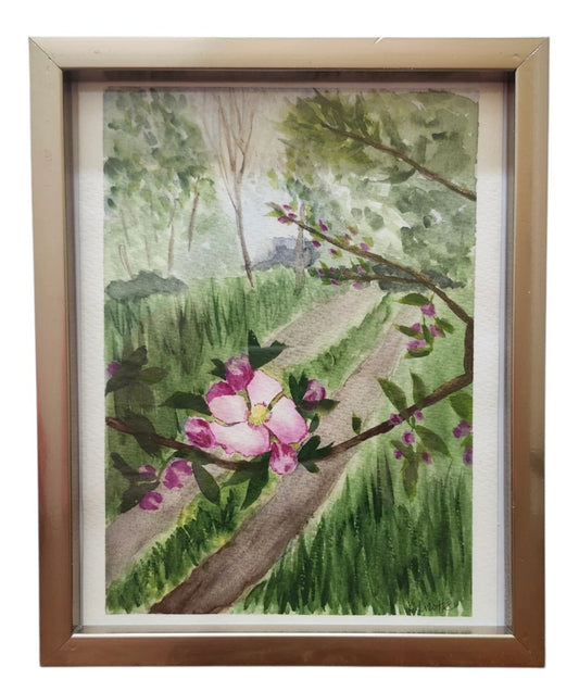 Apple Blossoms in Inverary