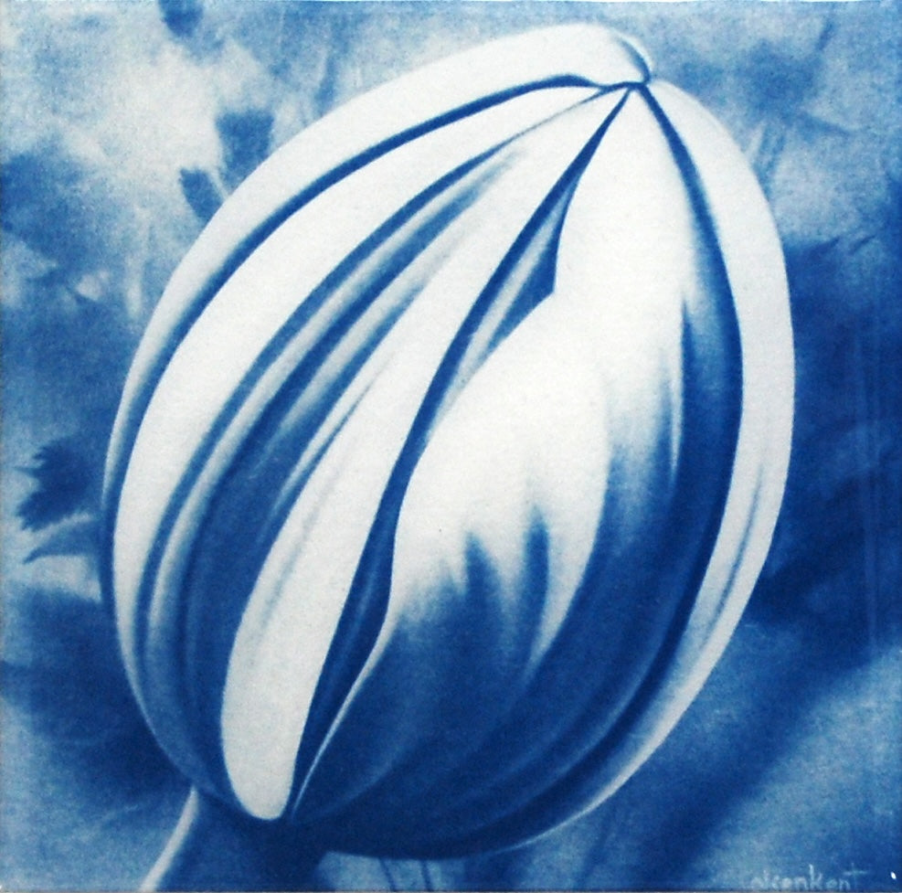 Resined Cyanotype Amongst the Leaves