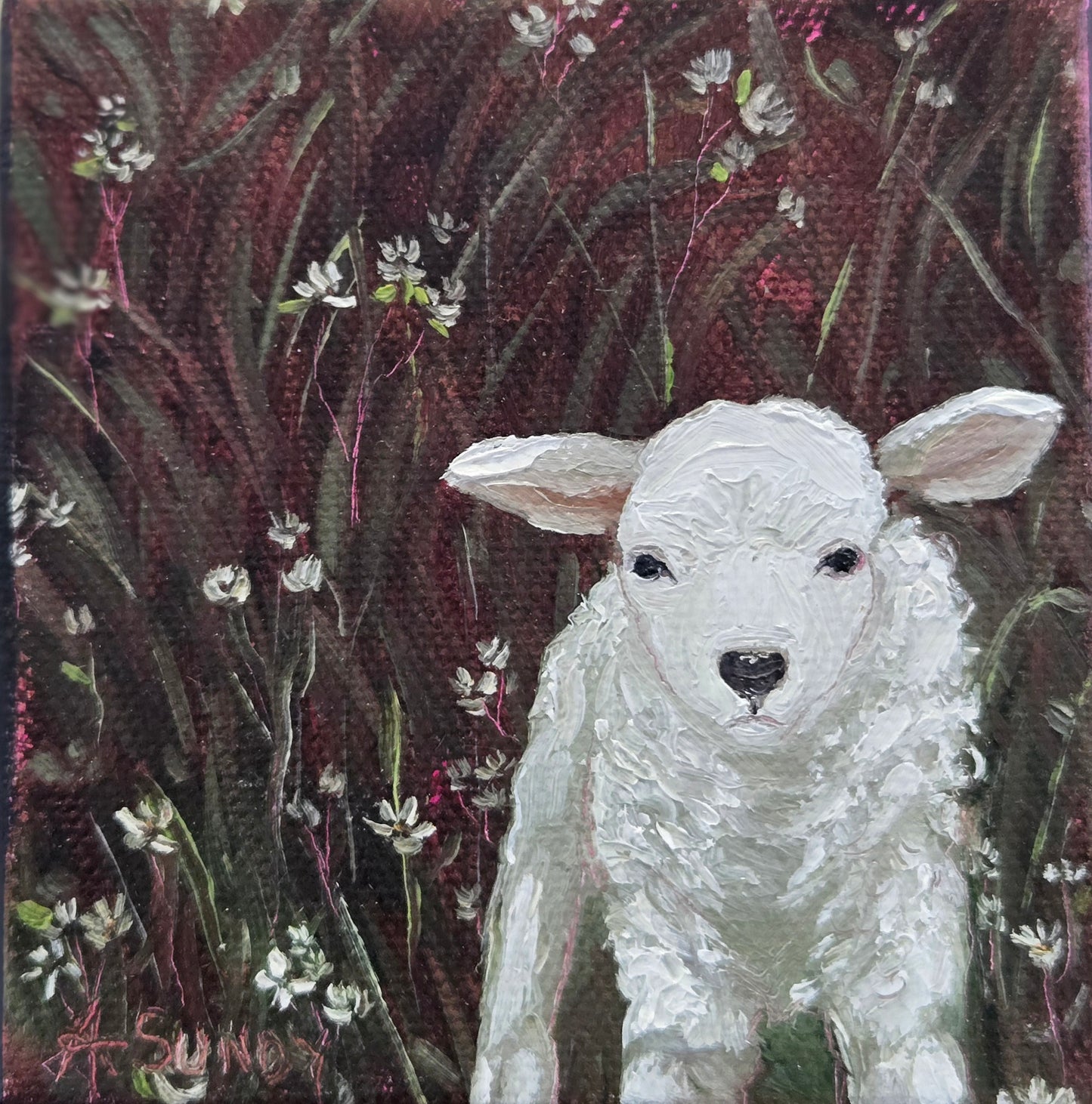 Little Lamb