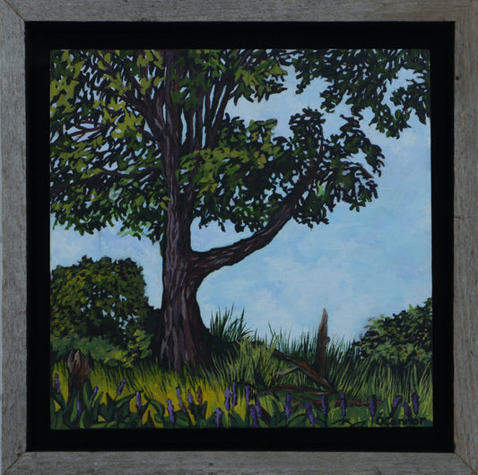 The Shape of a Calm Day