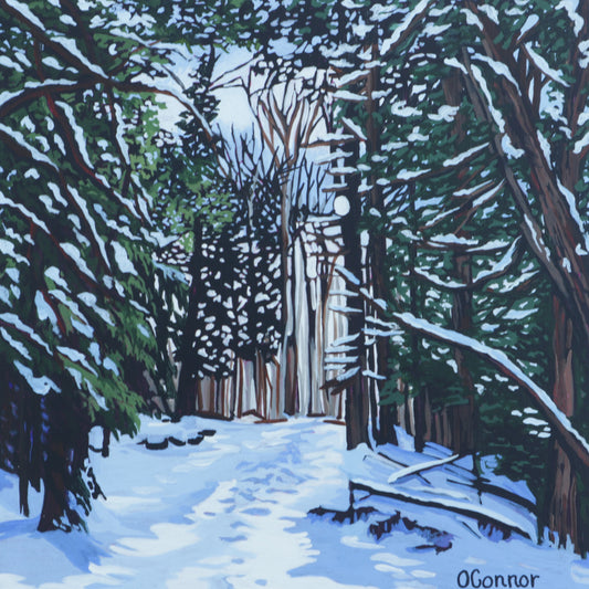 Winter Pathway