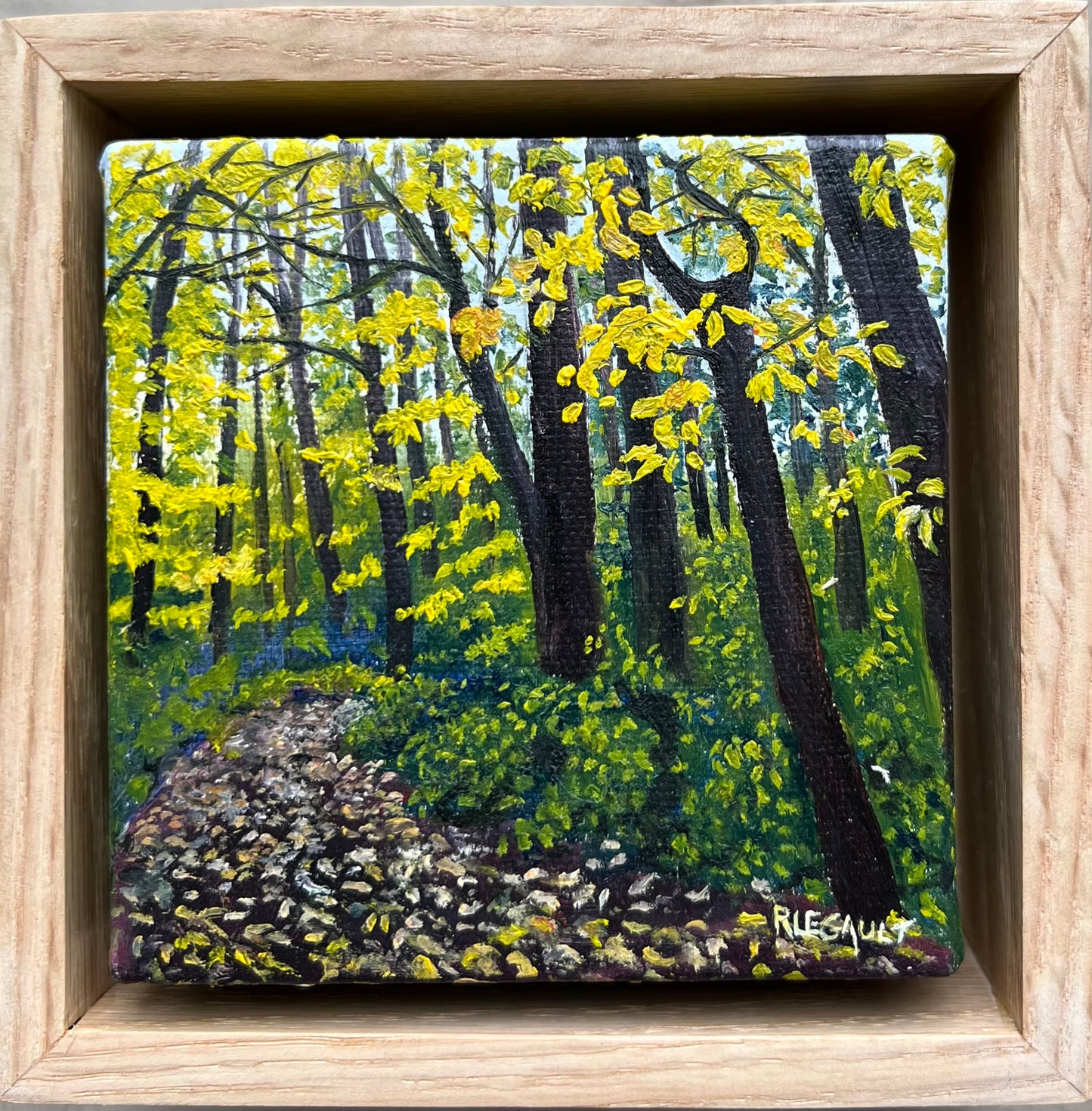 Merc trail in the fall