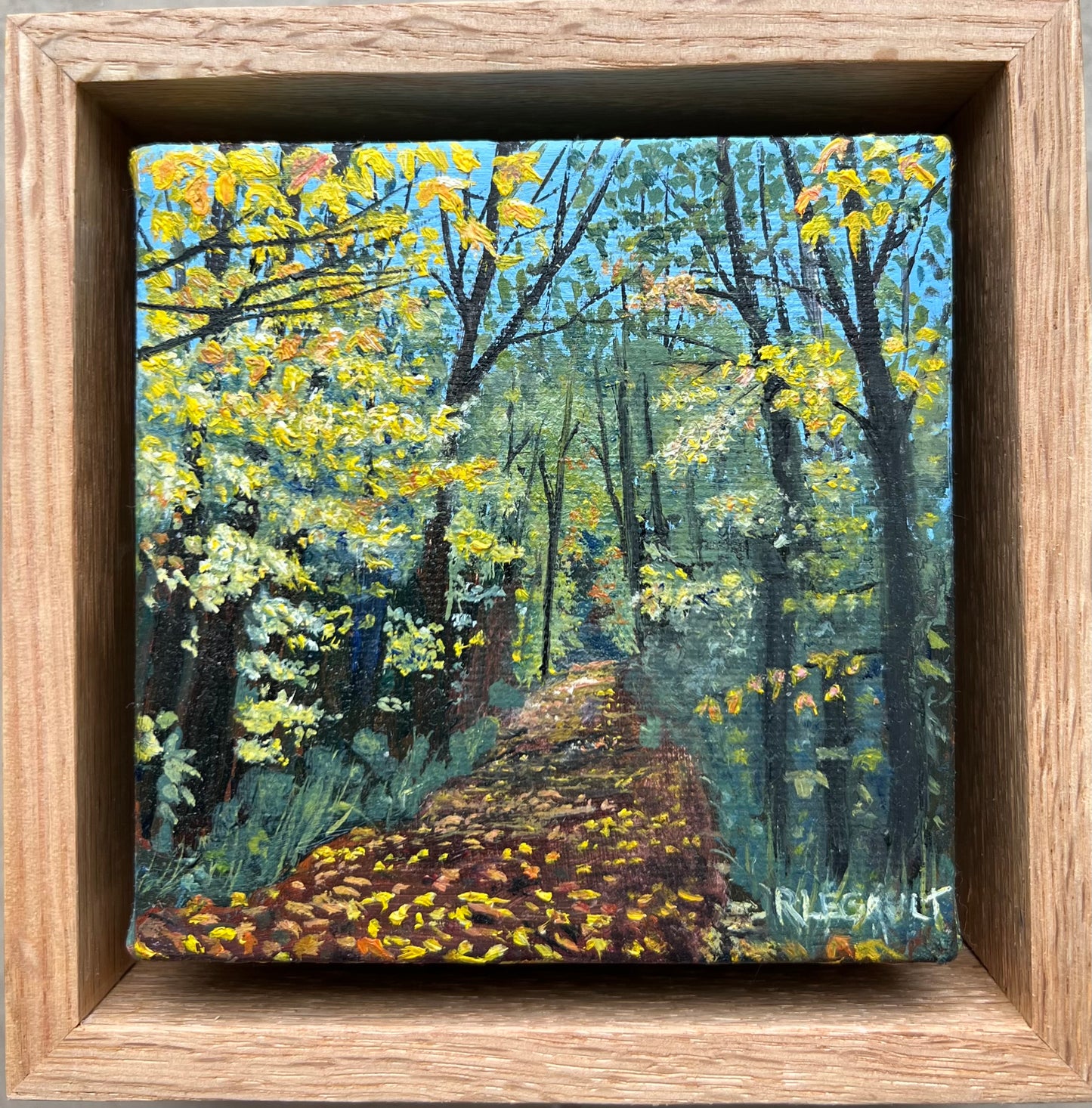 Merc trail in the fall 2