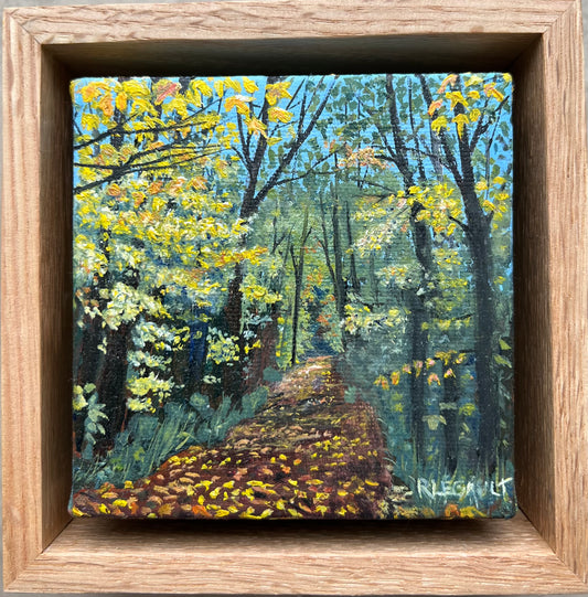 Merc trail in the fall 2