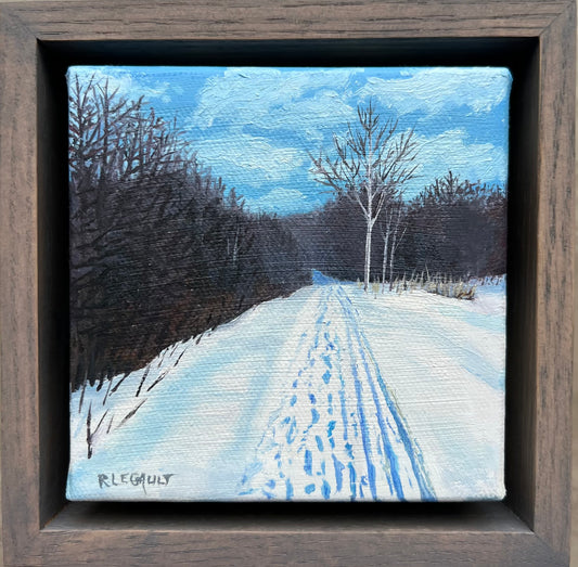 Cross country ski trail