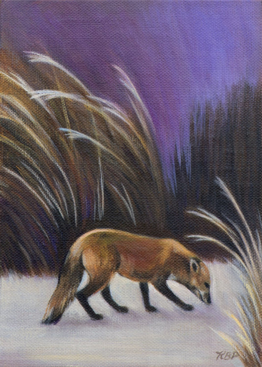 Fox in the Wind