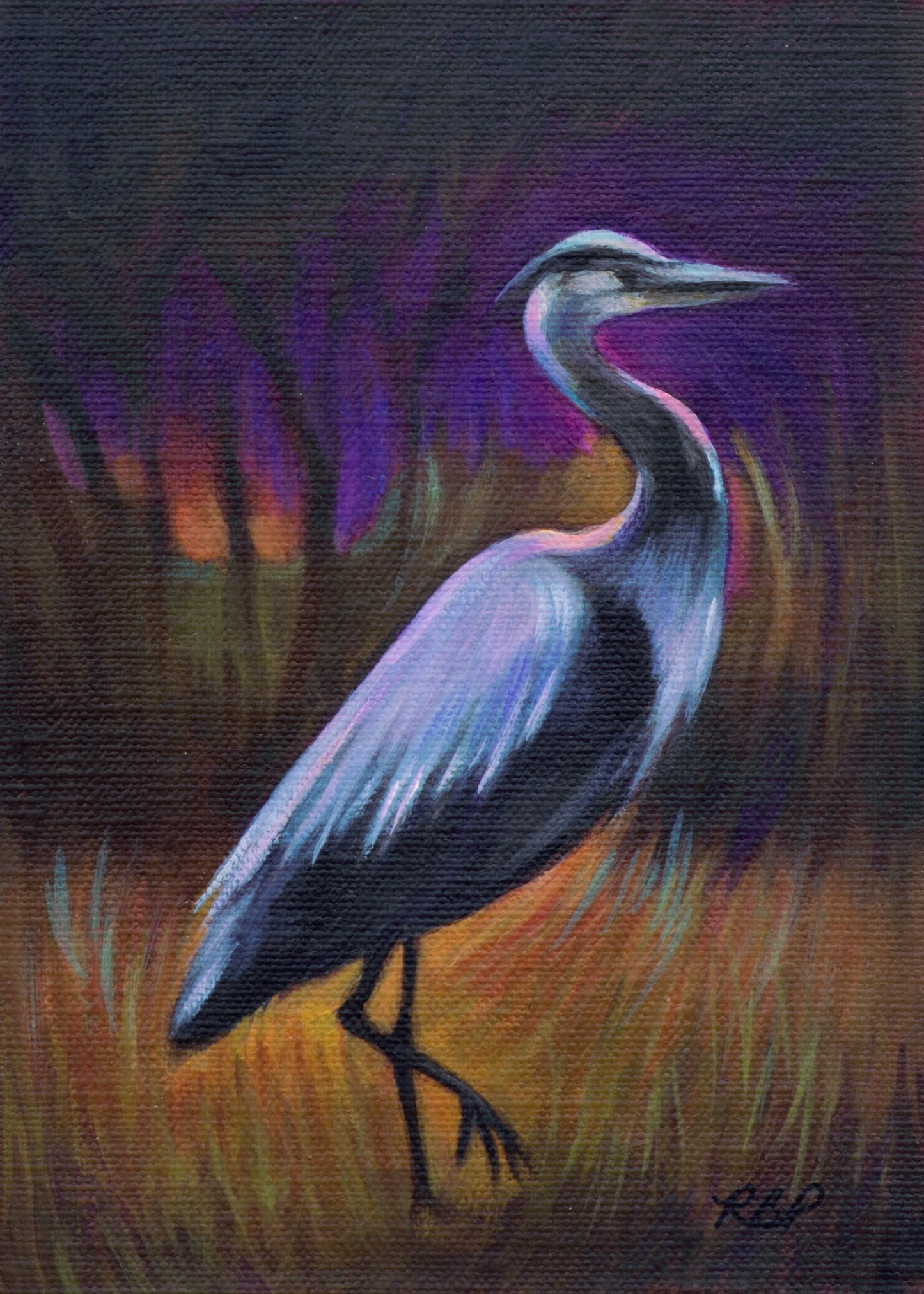 Heron at Sunset