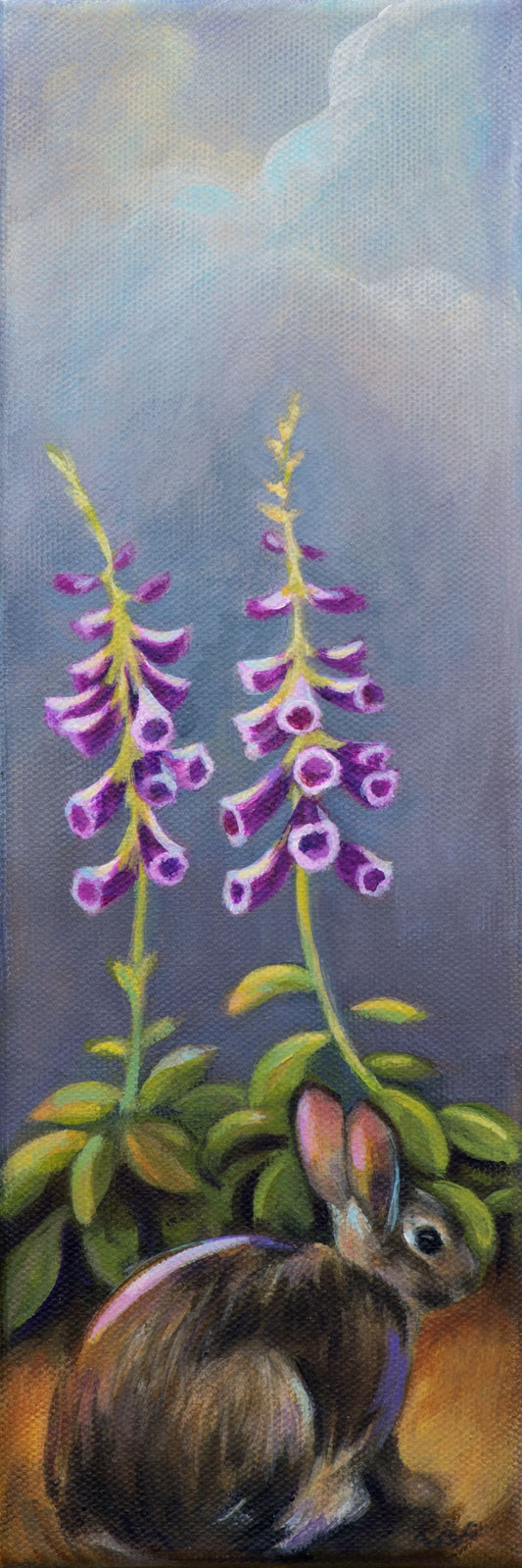 Rabbit and Foxglove