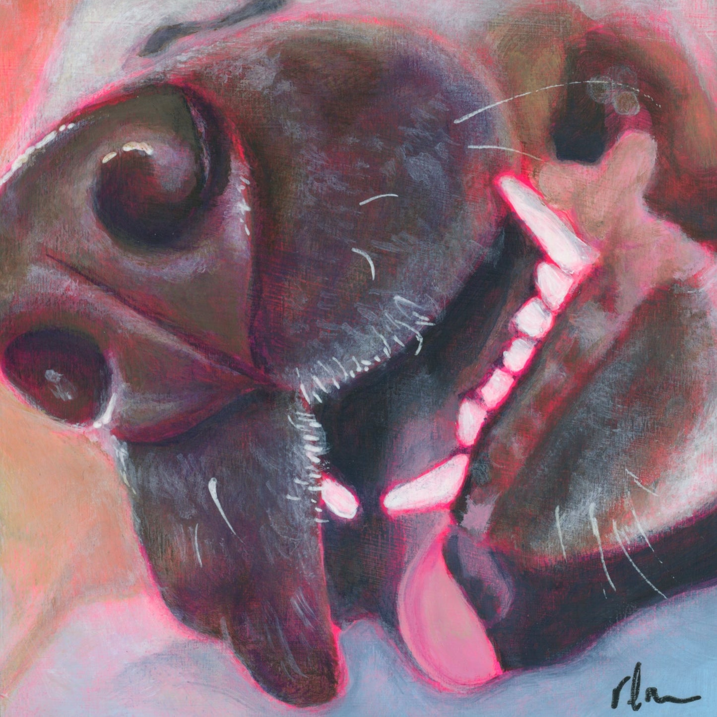 Dog Snout #31
