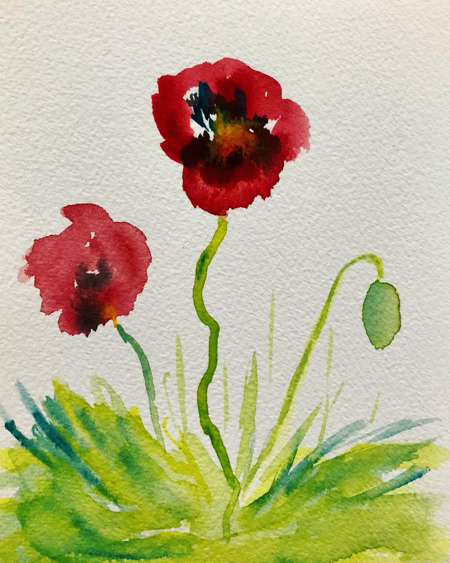 Poppies