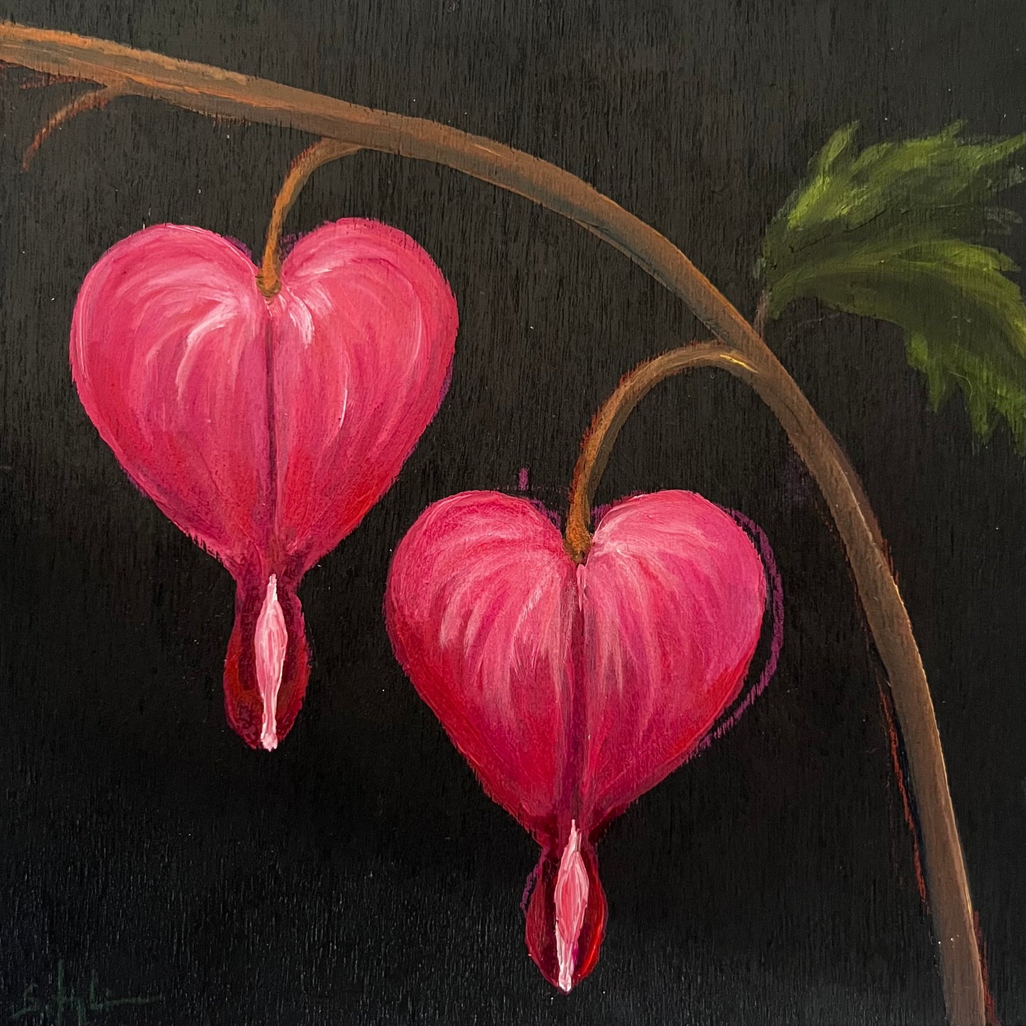Mini Bleeding Heart