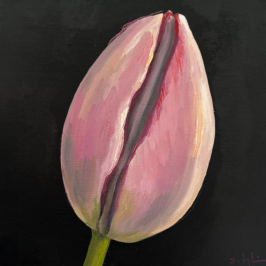 Mini Pink Tulip II