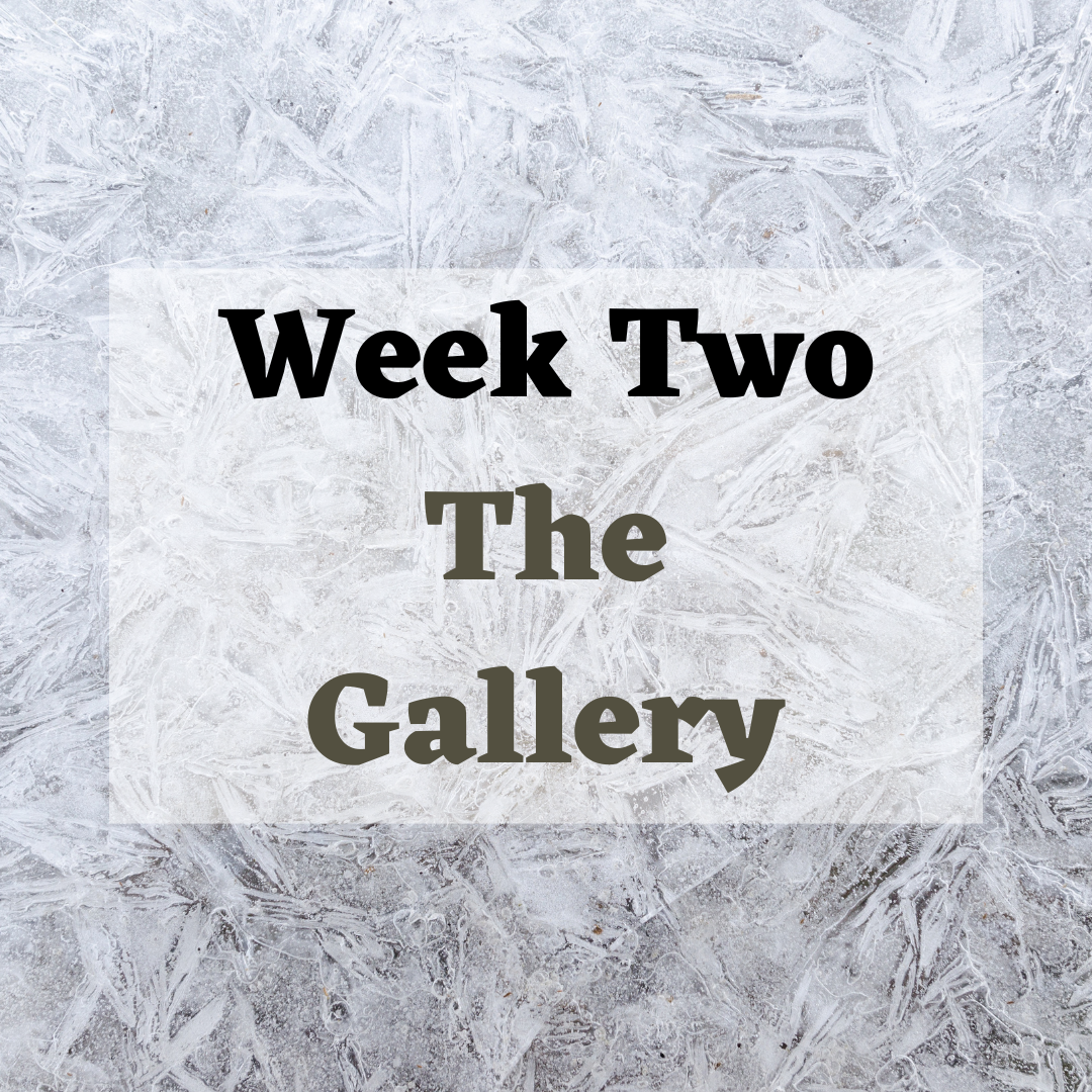 Week Two: The Gallery/ Activity Room | 2024 Holiday Market Registration